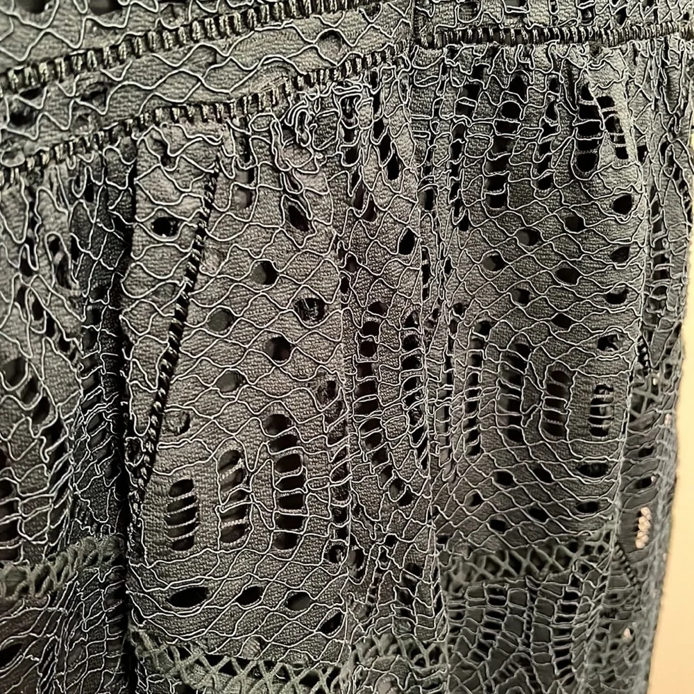 045 Ann Taylor Dark Green Lace Dress - Picture 9 of 9